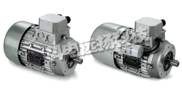 NERI MOTORI電機(jī)/單相電機(jī)/三相電機(jī)